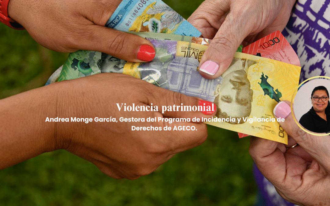 Violencia patrimonial