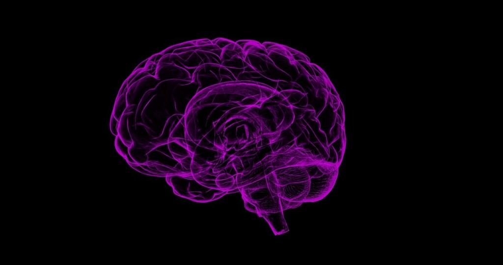 Envejecer no es sinónimo de demencia: desmontando mitos y promoviendo el derecho a una mente activa