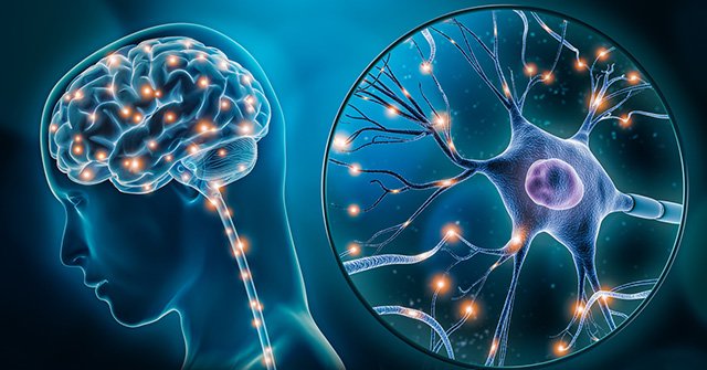 Estudio del AAIC 2025 confirma: cambios sencillos en la rutina diaria pueden frenar el deterioro cognitivo