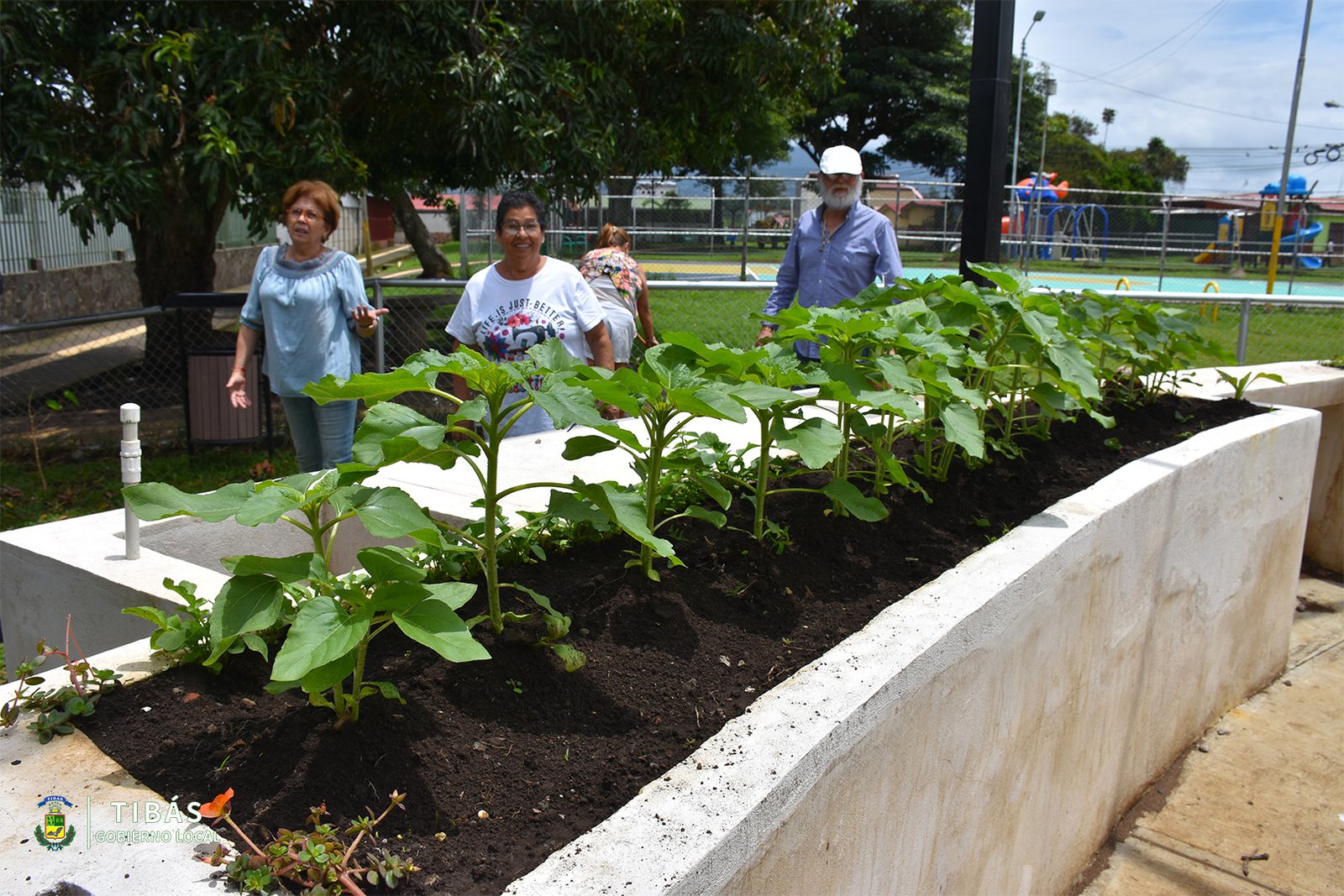 ¿Cómo queremos que sean nuestras ciudades? Hacia una Costa Rica más amigable con las personas adultas mayores