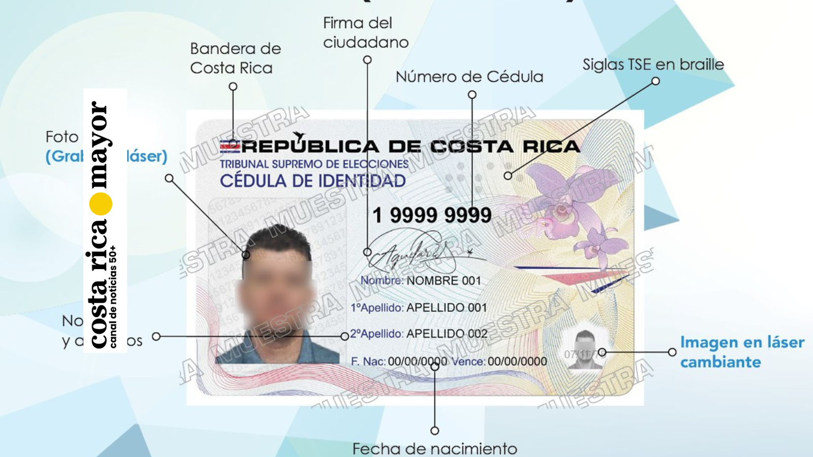 Nueva cédula de identidad física del TSE en Costa Rica: todo lo que necesitamos saber