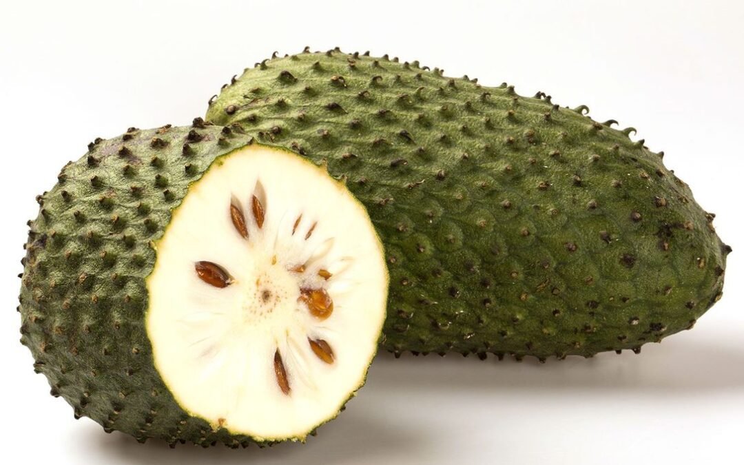 “Bomba de longevidad”: la gelatina rica en colágeno y vitamina C que gana popularidad entre quienes buscan envejecer mejor