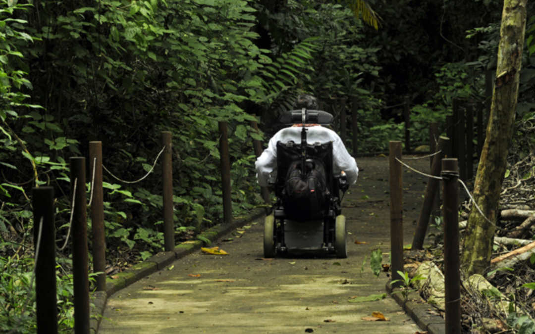 Parques nacionales en Semana Santa: una oportunidad para el bienestar de las personas mayores en Costa Rica