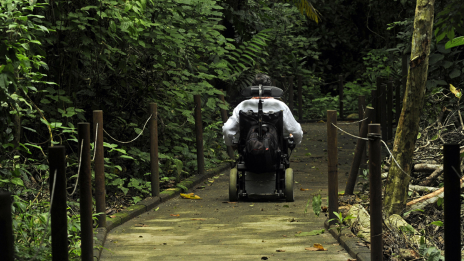 Parques nacionales en Semana Santa: una oportunidad para el bienestar de las personas mayores en Costa Rica
