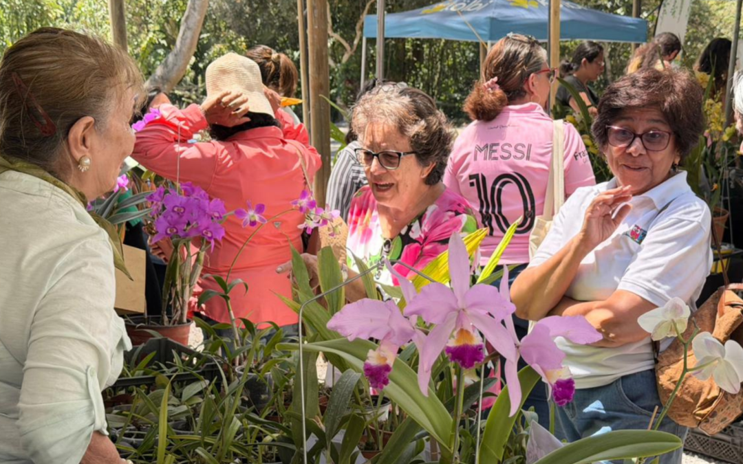 Exposición Nacional de Orquídeas en Cartago: una experiencia natural que también enamora a las personas mayores
