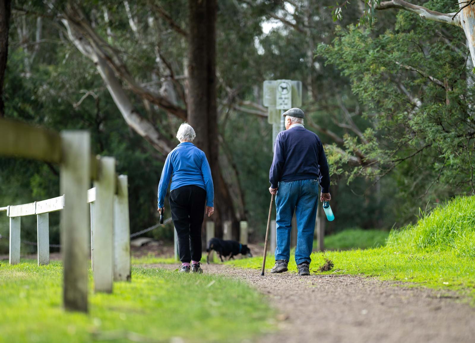 La salud en la vejez se construye día a día, a lo largo de toda la vida