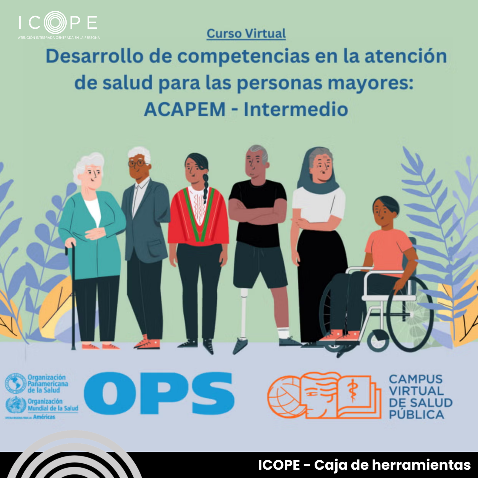 Curso Acapem