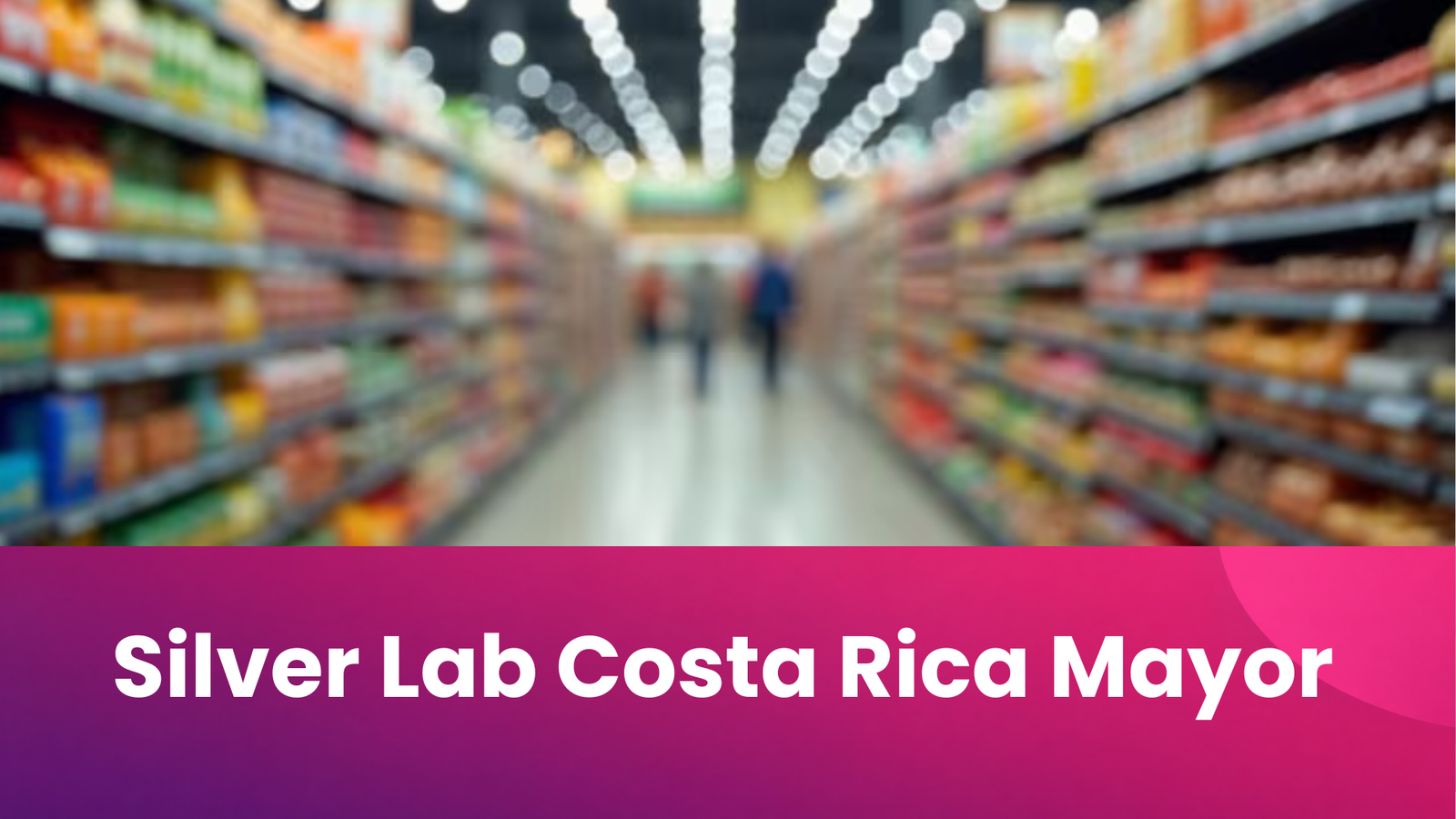 Silver Lab Costa Rica Mayor