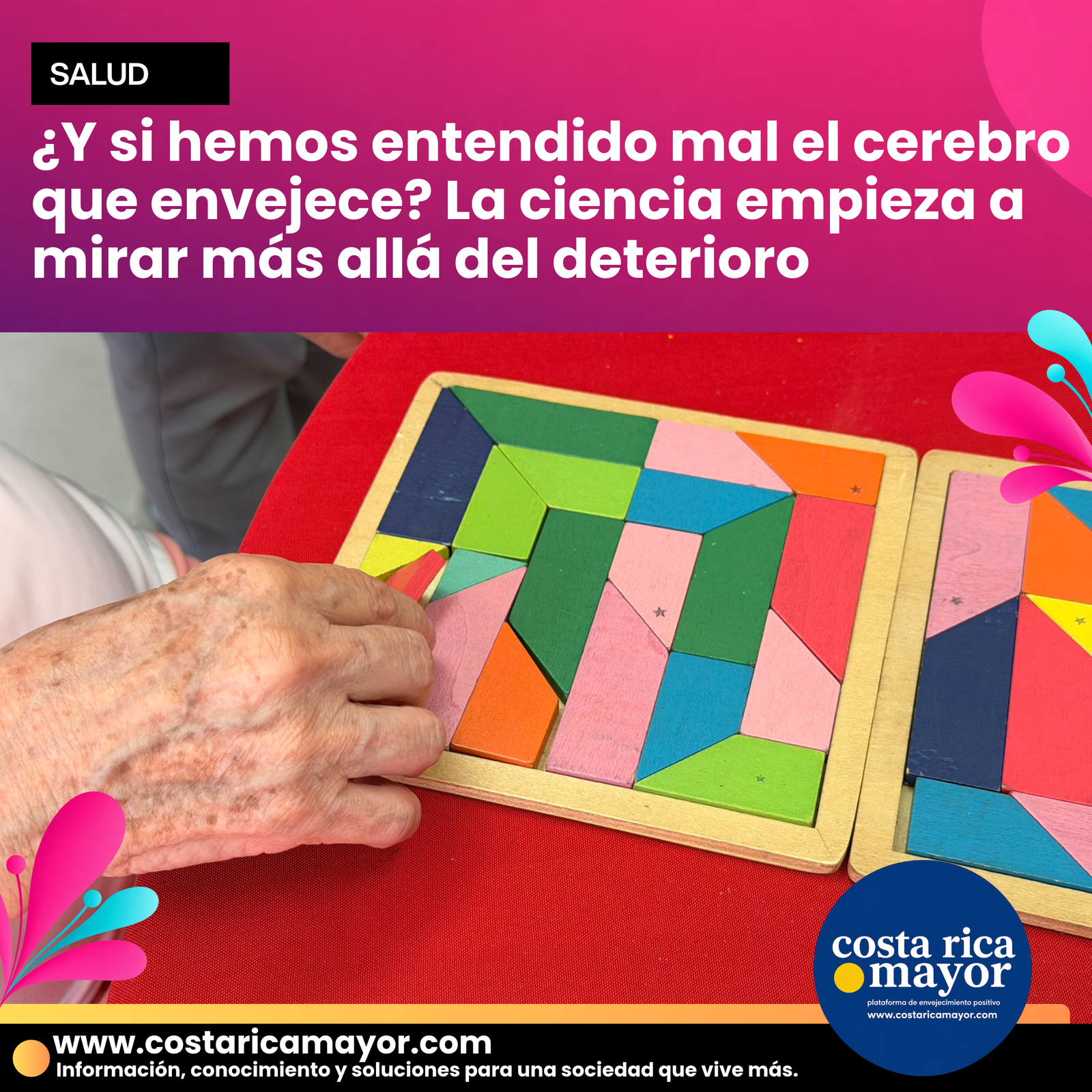 ¿Y si hemos entendido mal el cerebro que envejece? La ciencia empieza a mirar más allá del deterioro